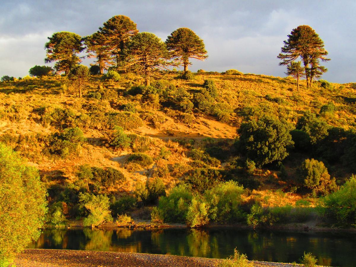 Отель La Berendina Huechulafquen Lake Экстерьер фото